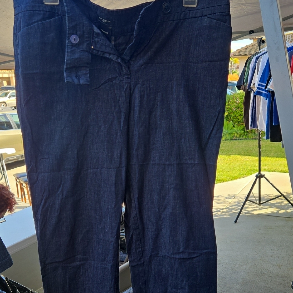 Ann Taylor Capris